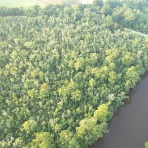 DJI_0946