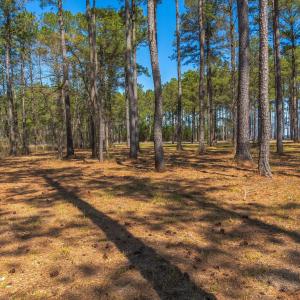 mls_Lots Gray Goose Ground-4