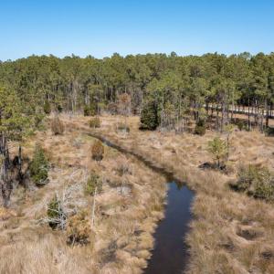 mls_Lots Gray Goose-28