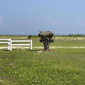IMG_4523