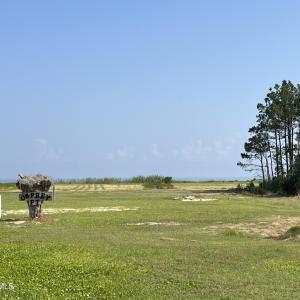 IMG_4525