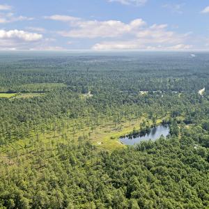 DJI_0423