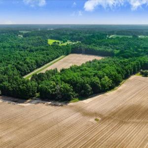 07-864 Old Dam Rd-7