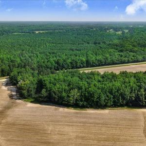 08-864 Old Dam Rd-8