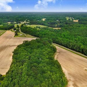 10-864 Old Dam Rd-10