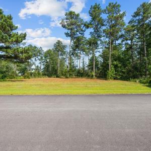 3-web-or-mls-DSC_0874