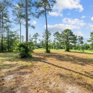 6-web-or-mls-DSC_0878