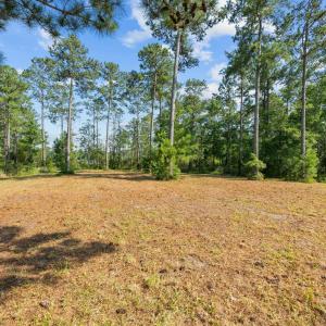 2-web-or-mls-DSC_0877