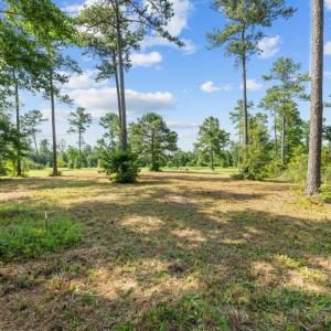 7-web-or-mls-DSC_0879