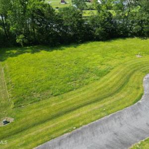 DJI_0924