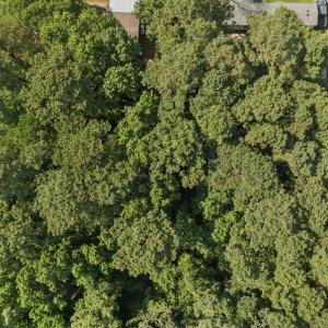 2-web-or-mls-DJI_0172