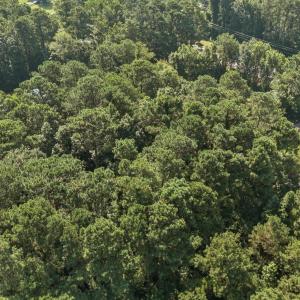 3-web-or-mls-DJI_0174