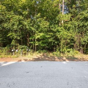 13-web-or-mls-P6245399