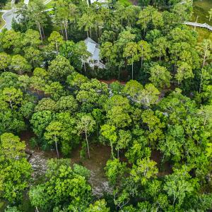 DJI_20250630200840_0534_D