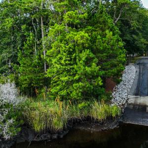 DJI_20250630200811_0530_D