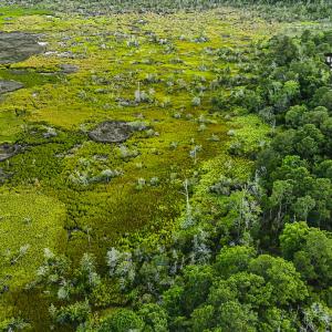 DJI_20250630200642_0521_D