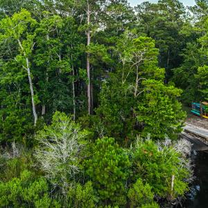 DJI_20250630200739_0524_D