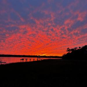 IMG_5988