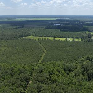 149 Futrell Road - Aerials - Edited_7