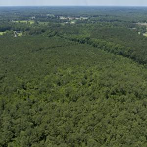 149 Futrell Road - Aerials - Edited_9