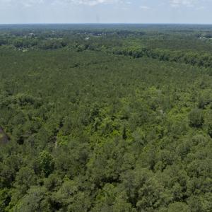 149 Futrell Road - Aerials - Edited_10