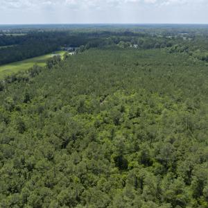 149 Futrell Road - Aerials - Edited_11