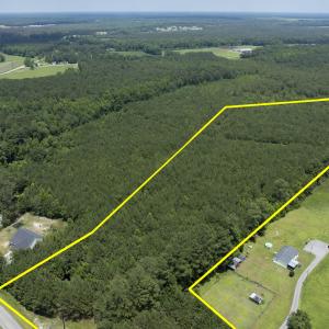 149 Futrell Road - Aerials - Edited_4 co