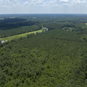 149 Futrell Road - Aerials - Edited_8