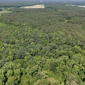 DJI_20250627095628_0112_D