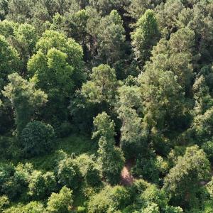 DJI_20250627094051_0082_D