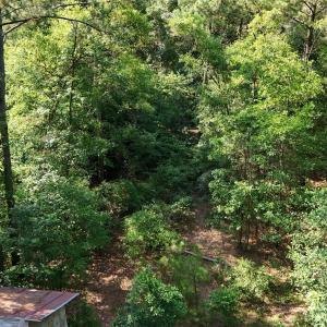 DJI_20250627094215_0085_D