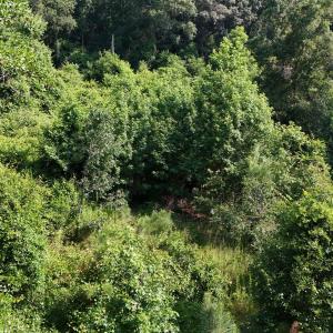 DJI_20250627094227_0086_D