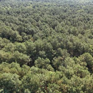 DJI_20250627094618_0091_D