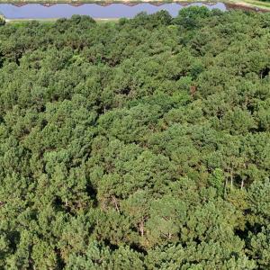 DJI_20250627094738_0094_D