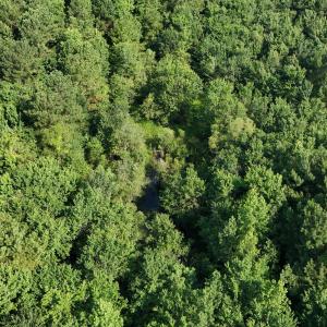 DJI_20250627094813_0095_D