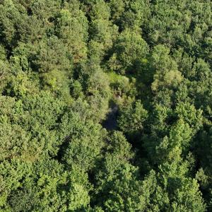 DJI_20250627094841_0096_D