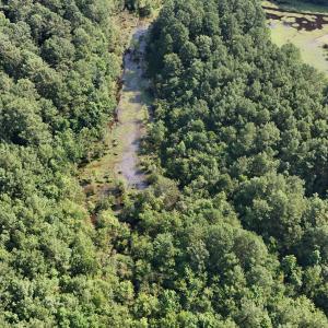 DJI_20250627095023_0098_D