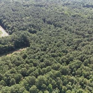 DJI_20250627095037_0099_D