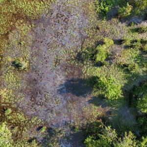 DJI_20250627095202_0102_D