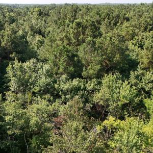DJI_20250627095228_0104_D