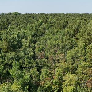DJI_20250627095233_0105_D