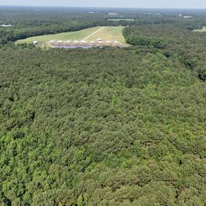 DJI_20250627095347_0106_D