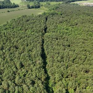 DJI_20250627095434_0107_D