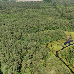 DJI_20250627095451_0108_D