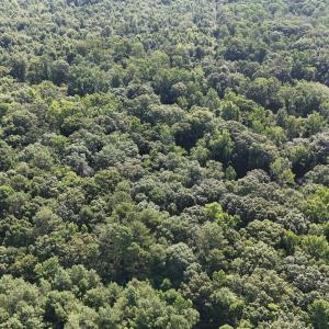 DJI_20250627095506_0110_D