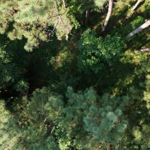 DJI_20250627100116_0119_D