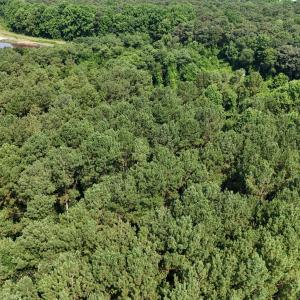 DJI_20250627100144_0123_D
