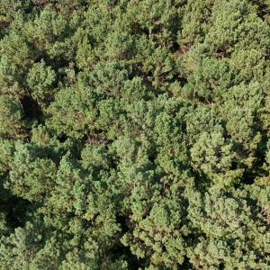 DJI_20250627100131_0120_D