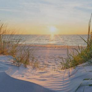 Beach Access