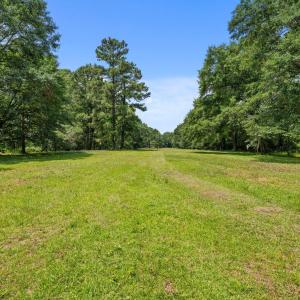 Upland area